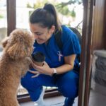 for-nurses-who-want-to-improve-self-care,-try-adopting-a-pet:-study