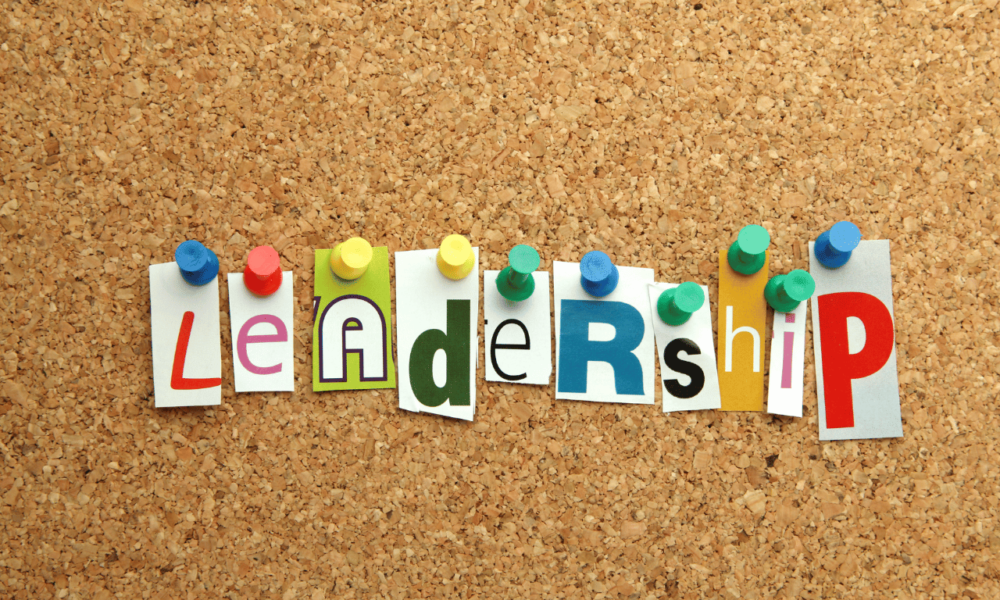 a-longitudinal-view-of-nursing-leadership